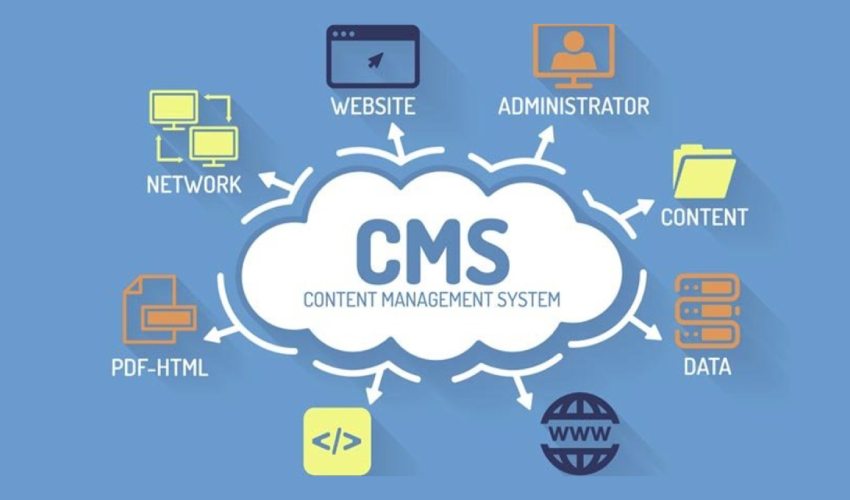 website-design